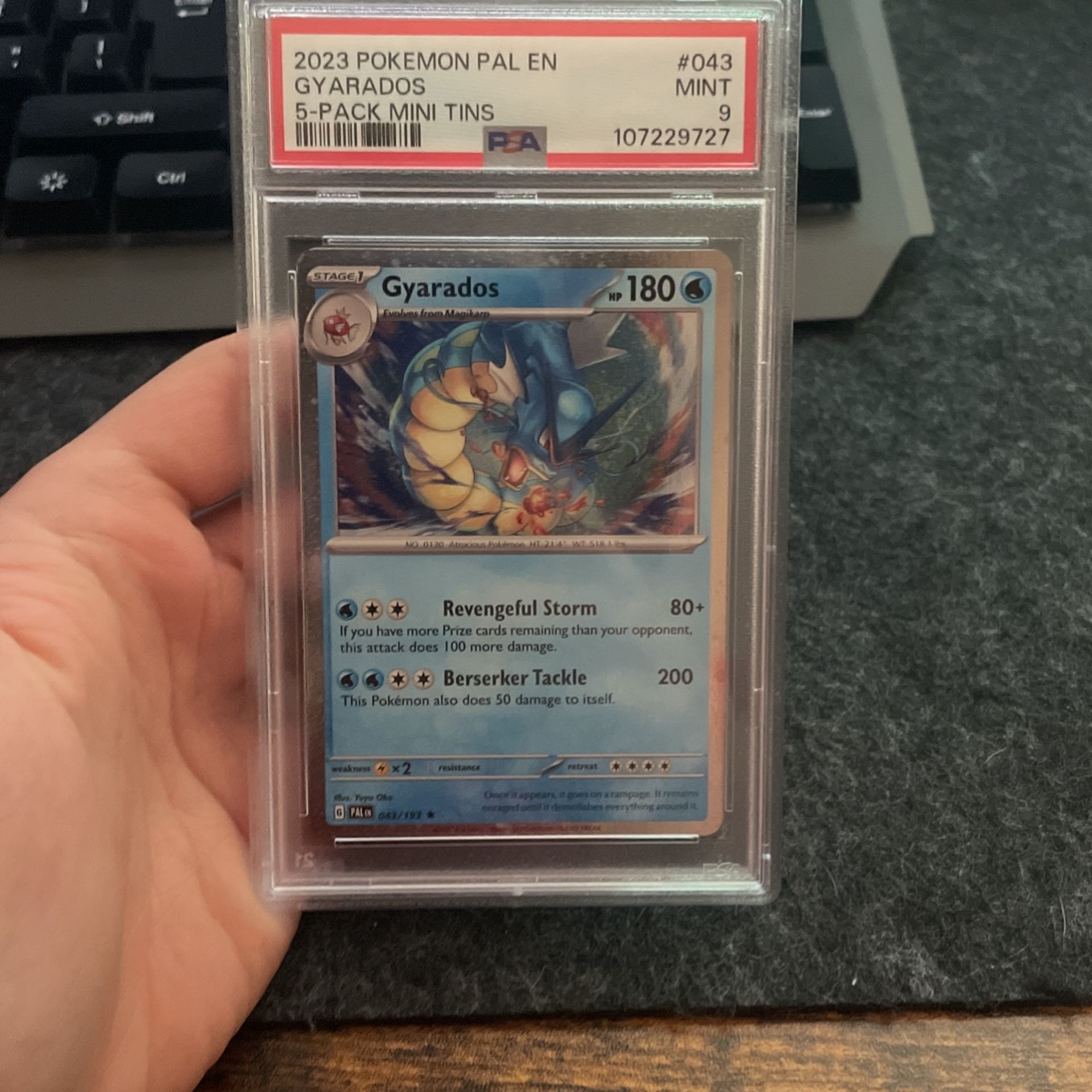PSA 9 Gyarados