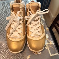 Jordan’s And LeBrons 