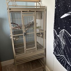 Parrot Cage 