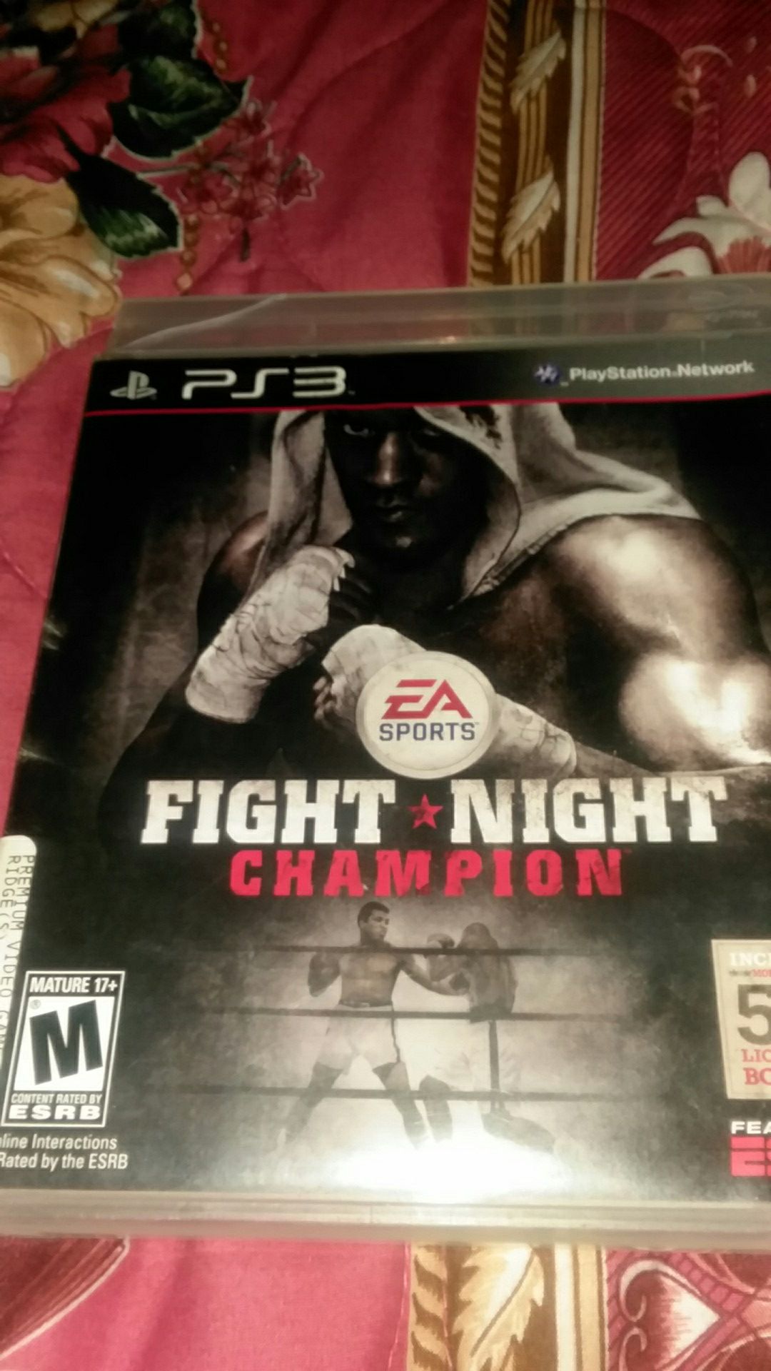 Fight night
