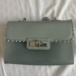 Steve Madden Purse