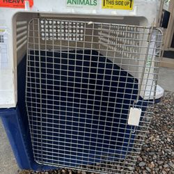 Big Dog Kennel 