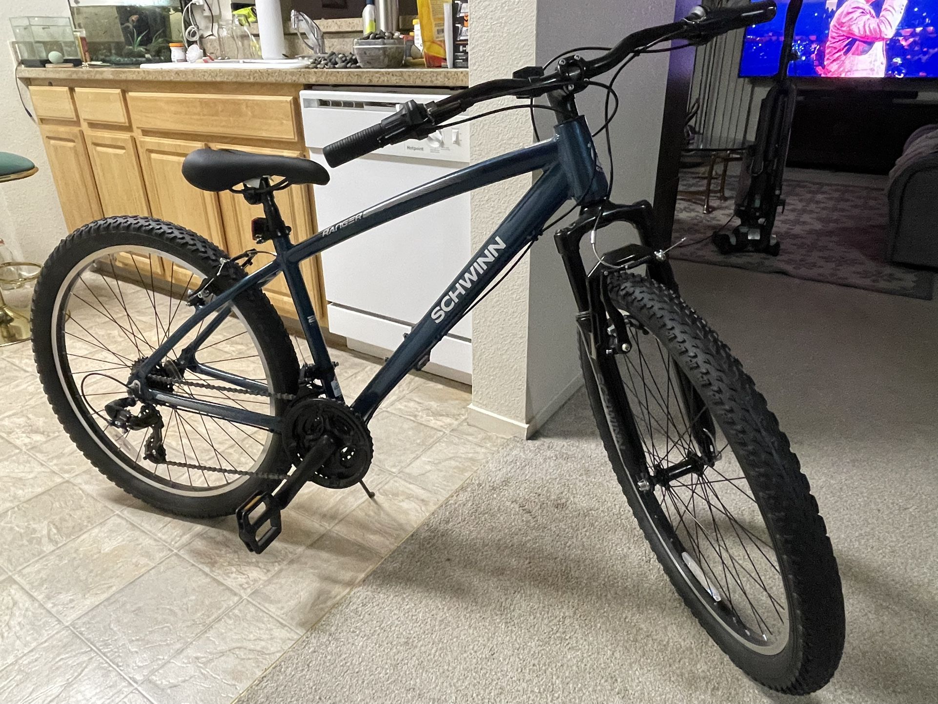 Mountain Bike