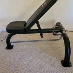 Workout Bench