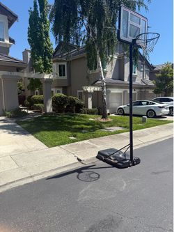 Basketball Standard