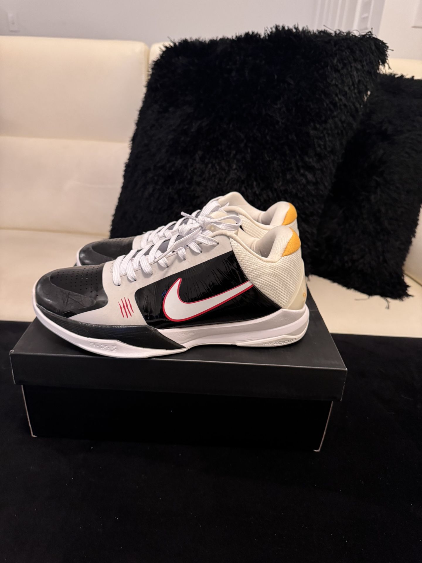 Kobe 5 Protro Bruce Lee Alternate