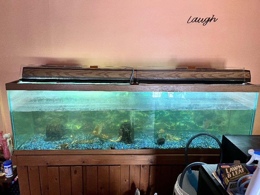 Fish Tank and Chair Coat Rack