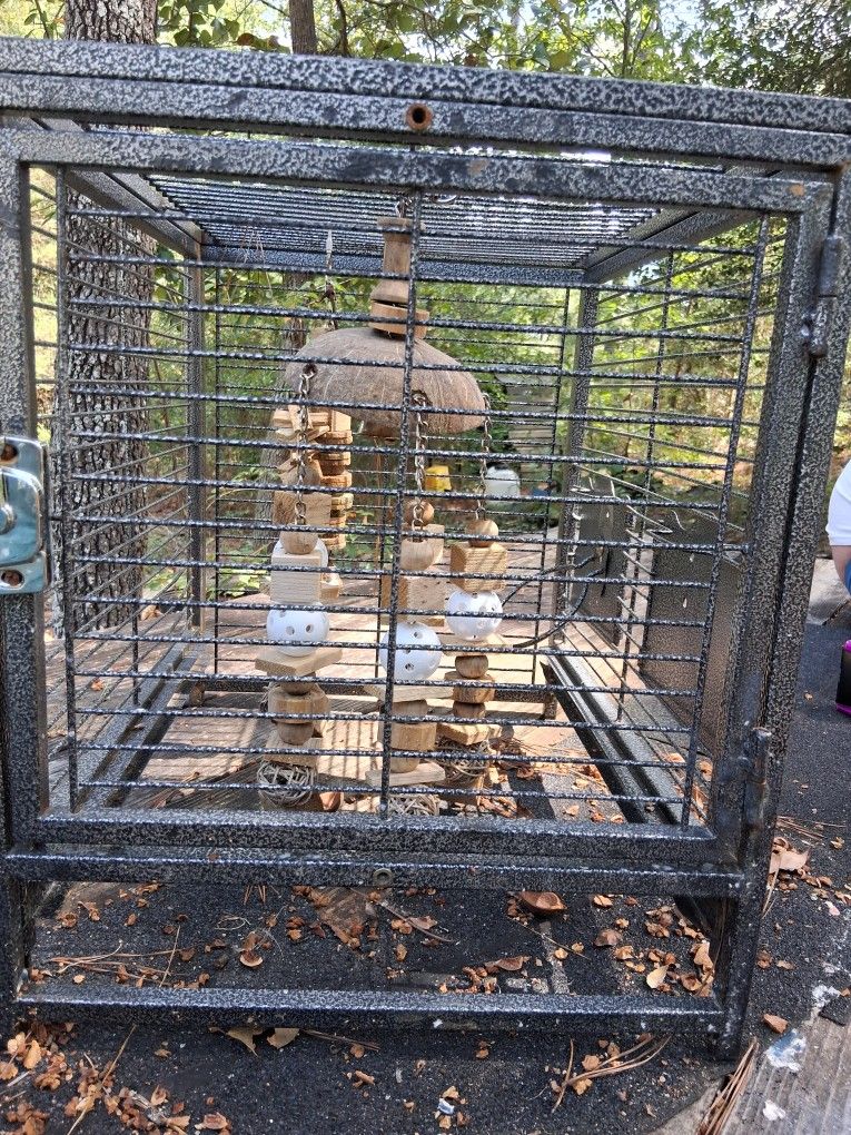 Bird Cage