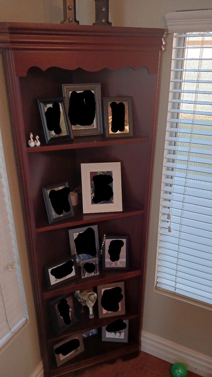 Corner Shelf/bookcase 