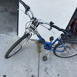 Bike For Adult 