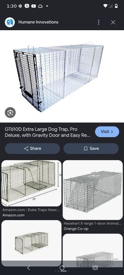X large coyote and mountain lion live trap still in good condition