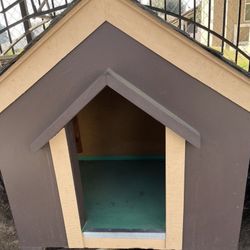 DOG HOUSE 