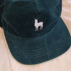 UO Llama Corduroy Baseball Hat

