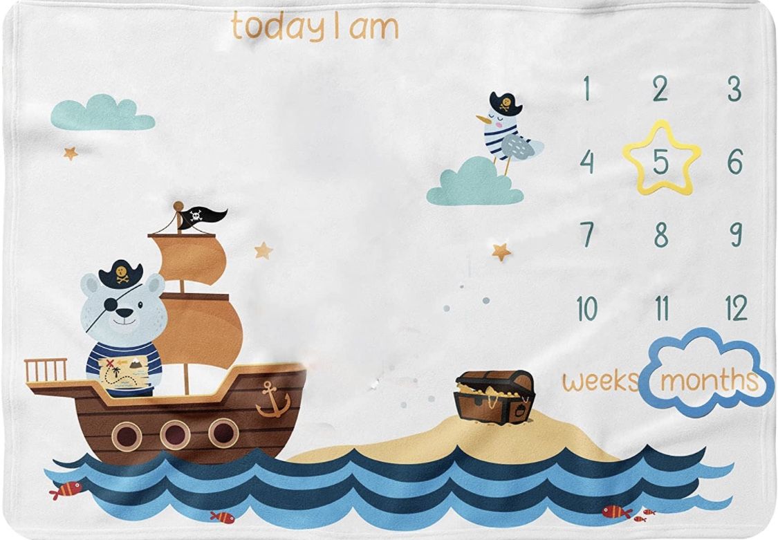 Baby Monthly Milestone Blanket