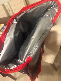 Insulated Backpack (new)