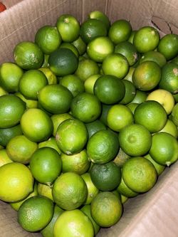 Limon, Lime 