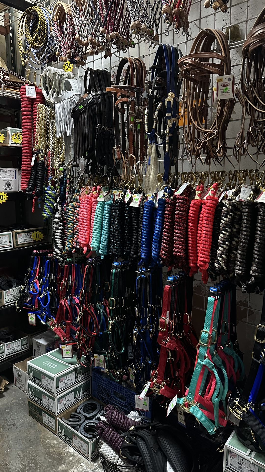 Halters And Lead Ropes For Horses 🐎 