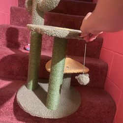 Small Cat Post 