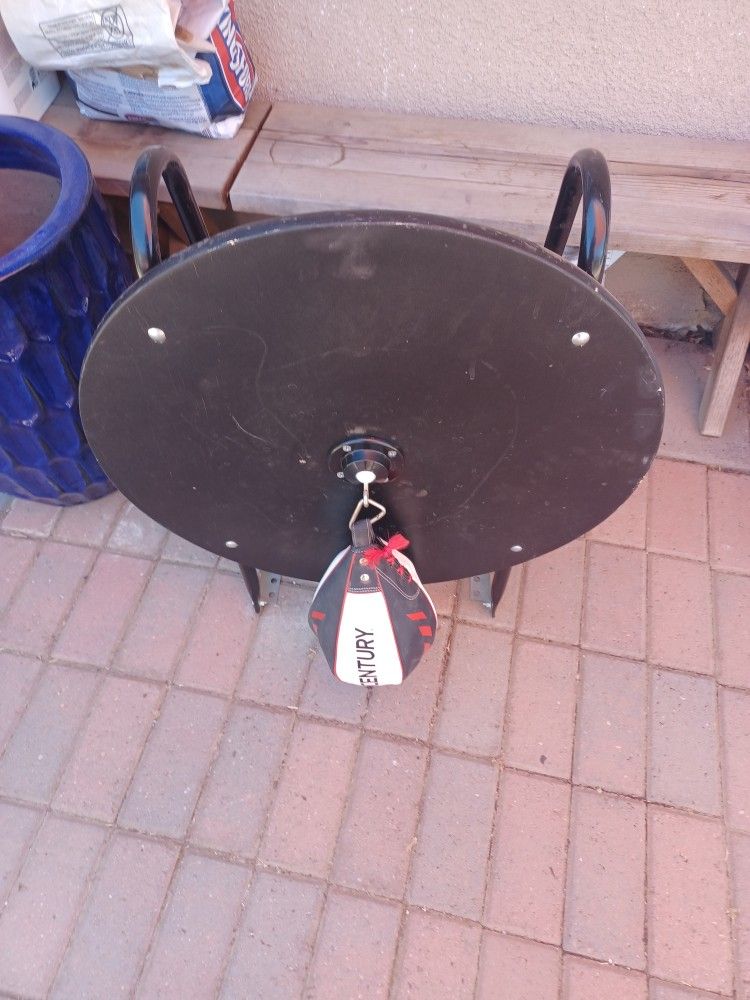 speed bag and mount