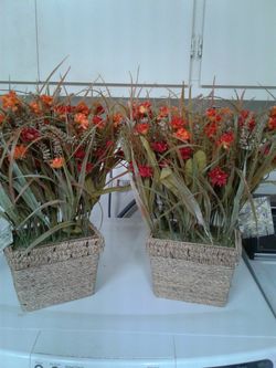 Decorative flower pots