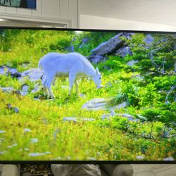 Vizio 65' LCD 4k UHD TV