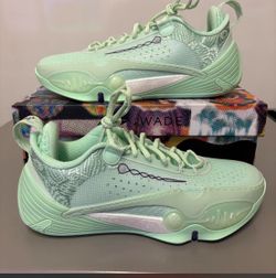 Li-Ning Way of Wade All City 14 “Chemical Reaction” ‘Mens Basketball Size 9