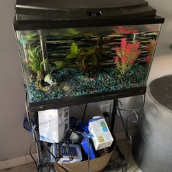 10 Gal Freshwater Fish Tank