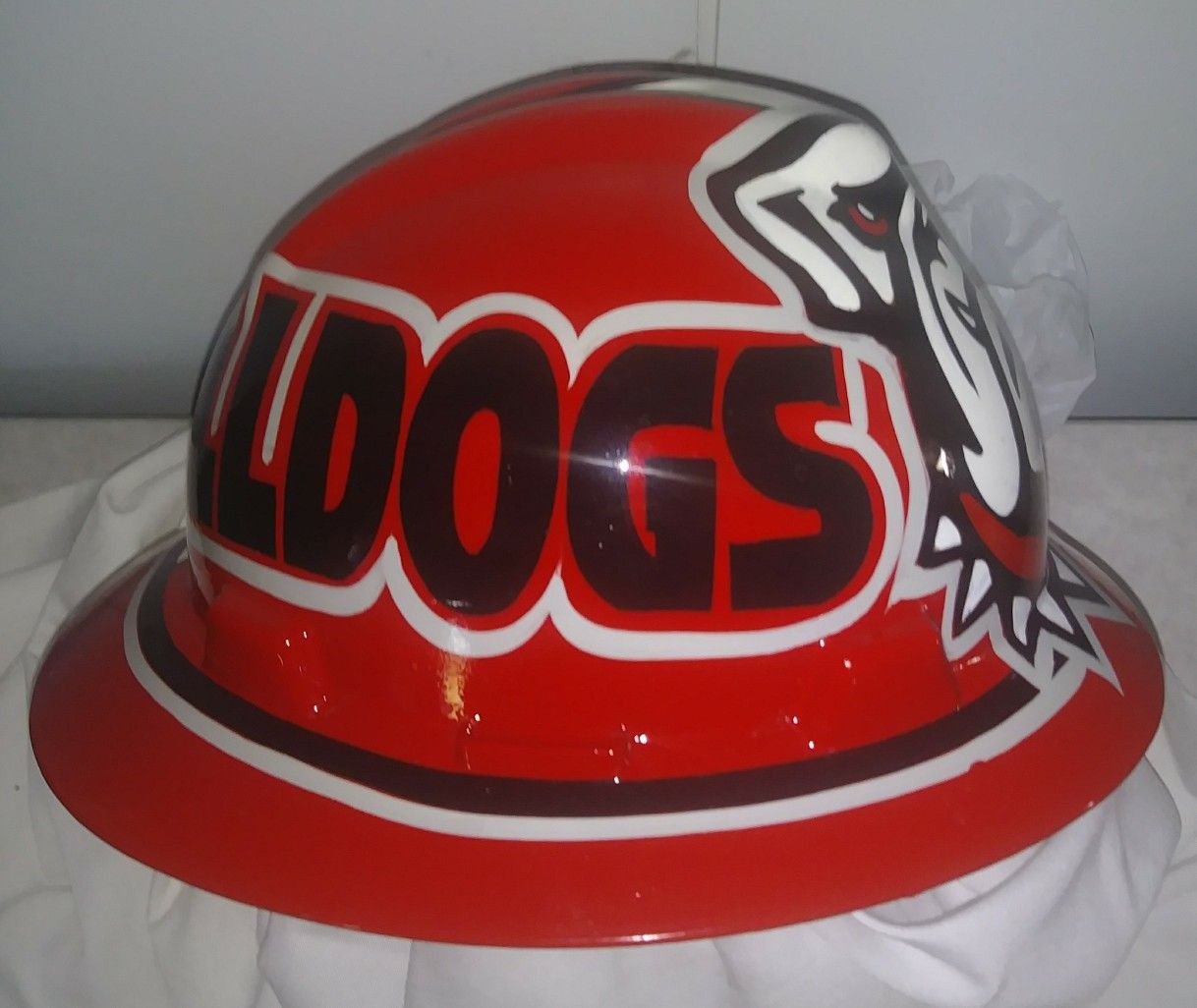 Georgia Bulldogs hard hats