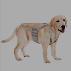 BaoGuai Dog Back Brace For Arthritis, Dog Hip Brace For IVDD, Frame Support Harness For Back?Keeps The Back Stable And Reduces Movements And Pains (XL
