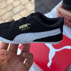 New baby pumas