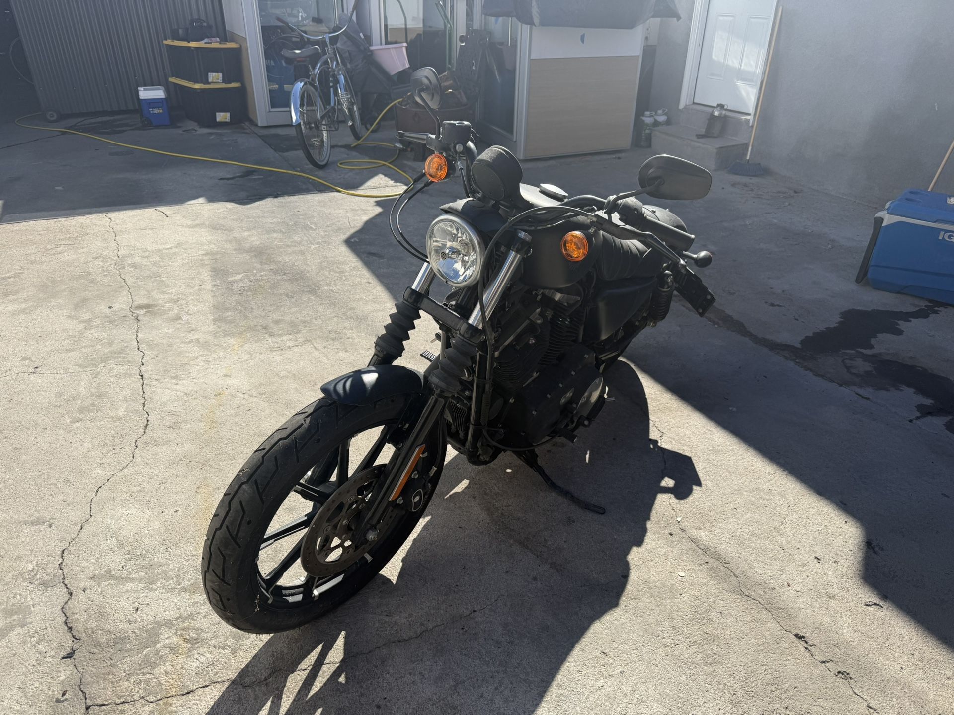 2020 Harley Davidson Iron 883