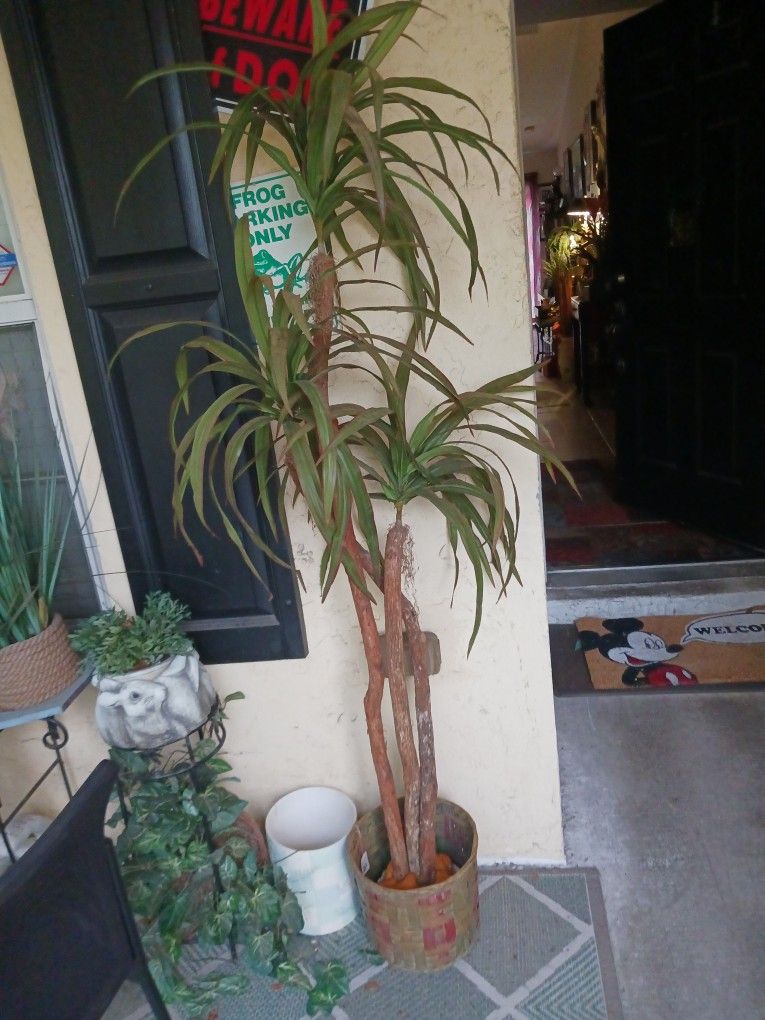 6.5ft Beautiful Artificial Tree Plant 18 Firm Look My Post Tons Items Low Prices