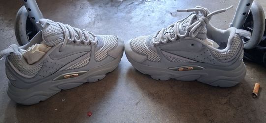Dior B22