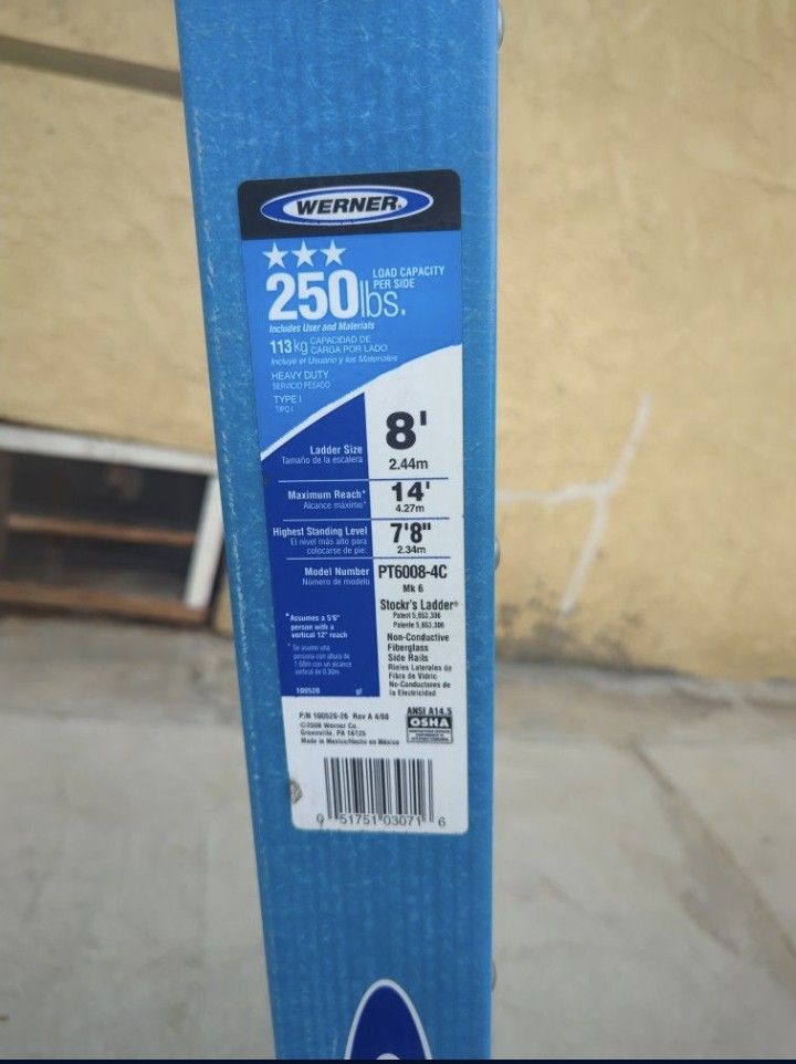 Werner Ladder With Wheels