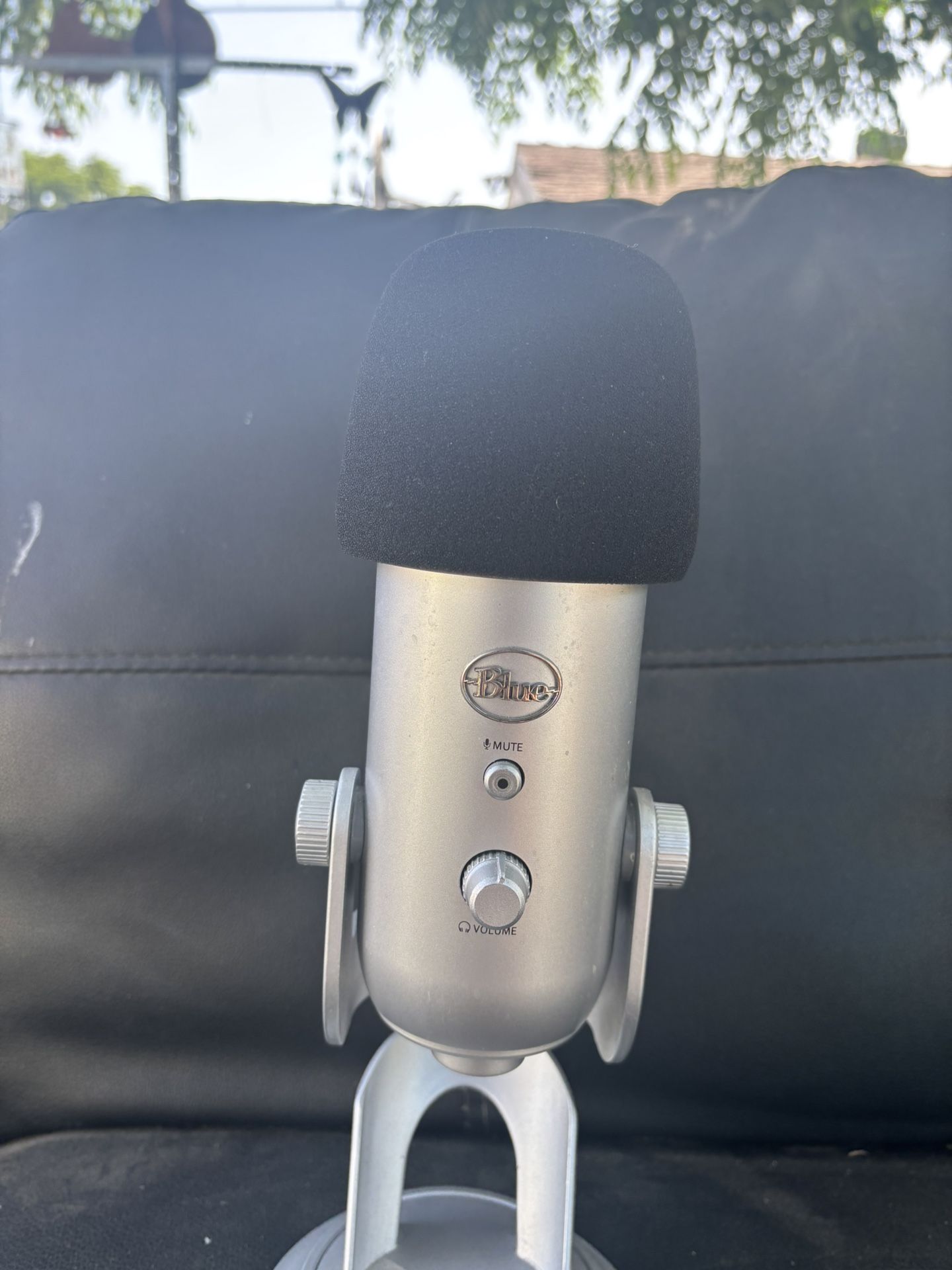 Blue Yeti Mic