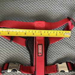 Kong Dog Harness 