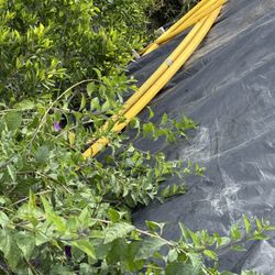 Free Gas Line Tubing 