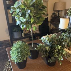 Three Potted Plants Artificial 