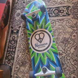 Andrew Reynolds SkateBoard 