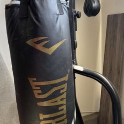 Everlast Dual Station Heavy 100lb punching/speed bag and stand