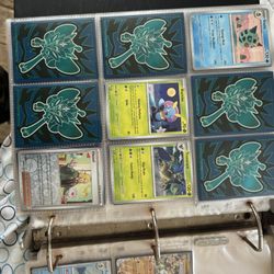 Binder Of Mint Pokemon Cards All Kinds