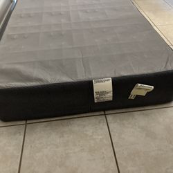 FREE Twin Box Springs