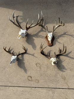 Large & Small Red Deer Antlers Taxidermy Home Decor Hunting Wall Arts Floor Standing