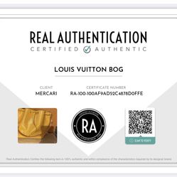 Louis Vuitton Bag