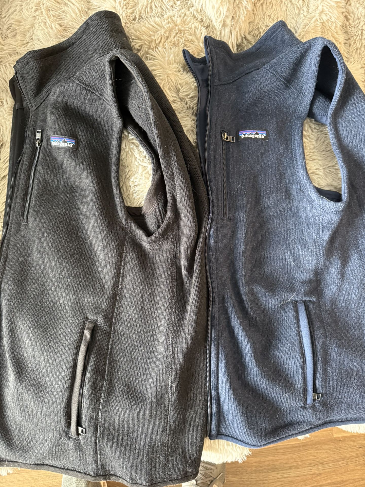 Patagonia Men’s Vest