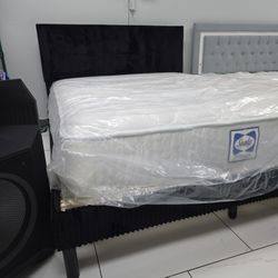 Queen Sizes Bed With Mattress 