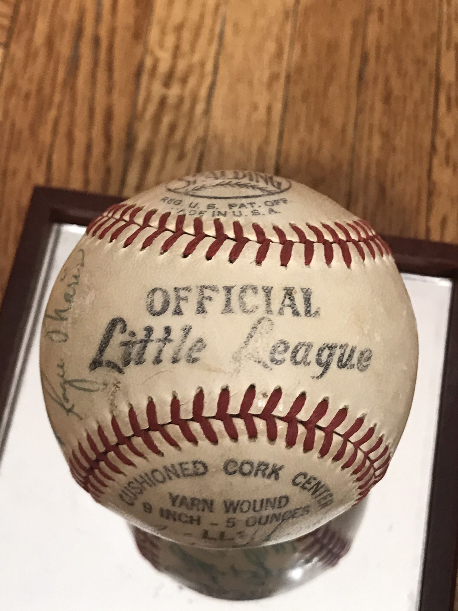 1960 New York Yankees Autographed Official Little League