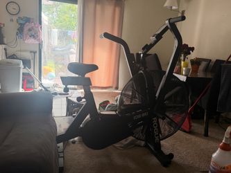 ECHO BIKE ROGUE