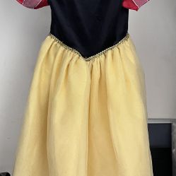 Snow White Dress- Costume