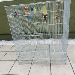 Bird Cage